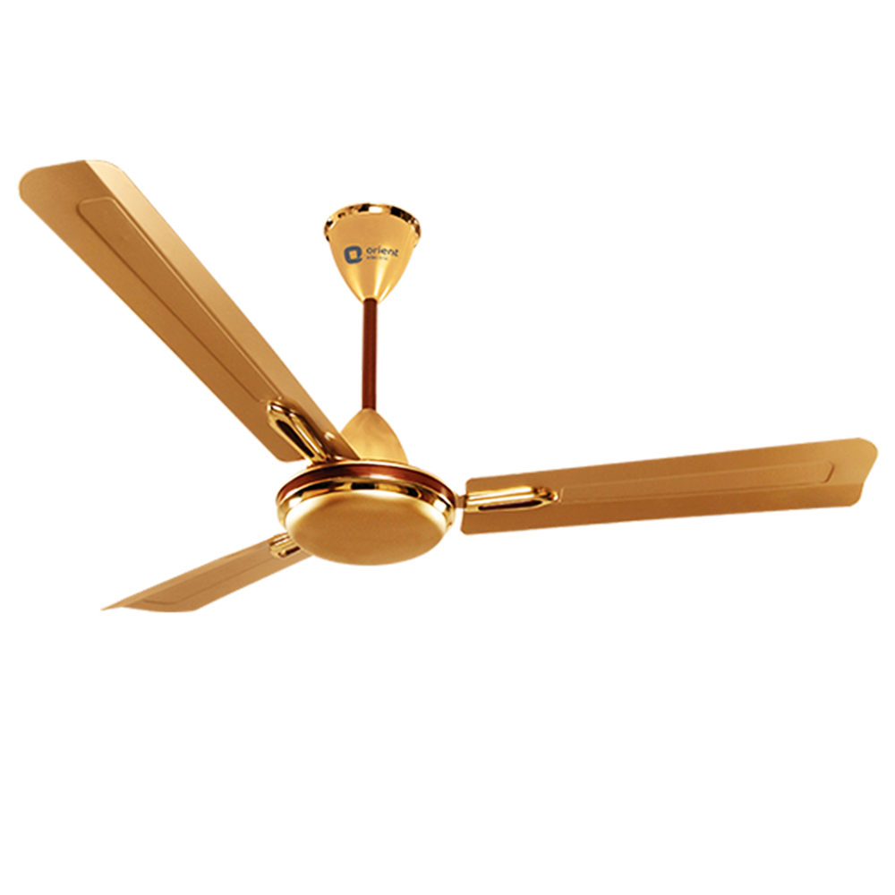 Orient fan 56