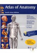 Atlas Of Anatomy 