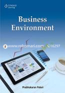 Business Environment 