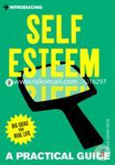 Introducing Self-esteem: A Practical Guide