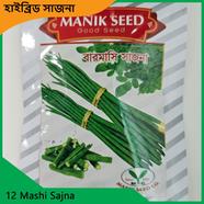 12 Masi Sajna Seeds