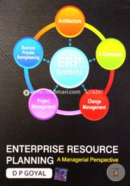 Enterprise Resource Planning a Managerial Perspective