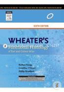 Wheater's Functional Histology : A Text and Colour Atlas 
