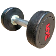 5 kg PU Dumbbell China Special Quality 