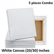 Combo of 20/30 Inches Drawing Canvas White -5 pieces