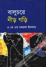 বালুচরে নীড় গড়ি