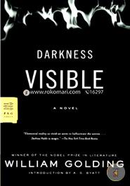 Darkness Visible: A Novel (FSG Classics)