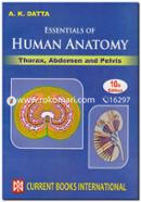 Essentials of Human Anatomy : Thorax, Abdomen and Pelvis (Vol-1)