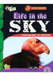 Life in the Sky: Key stage 2 (Endangered)