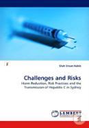 Challenges and Risks (Paperback)