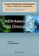 AIDS-Associated Viral Oncogenesis: 133 (Cancer Treatment and Research)