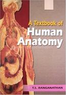 A Textbook Of Human Anatomy