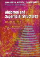 Abdomen and Superficial Struts