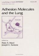 Adhesion Molecules And The Lung