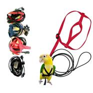 Adjustable Bird Flying Training Herness For Cockatile/ Sun Conour/ Parrot