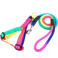 Adjustable Nylon Pet Dog Puppy Cat Harness With Leash Colorful Walking Leash icon