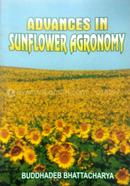 Advances sunflower agronomy