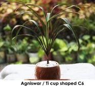 Agnishwar Ti Cup Shaped With 6 Inch Clay Pot - 364
