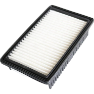 Air Filter 28113-C7000
