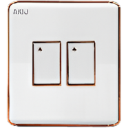 Akij Delight 2 Gang 2 Way Switch