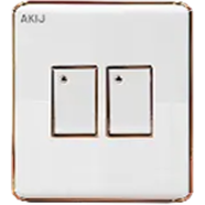 Akij Elegant 2 Gang 2 Way Switch