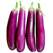 All Season Brinjal Seeds - 0.1gm 