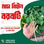All Season Stickless Borboti Seed 2gm Pack