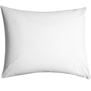Allora Small Size Cushion Filler 14x14 Inch - PLO 010 icon