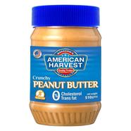 American Heritage Crunchy Peanut Butter 510gm (India) - 131700569
