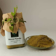 Anavrin Health And Beauty Henna Powder-100 Gm