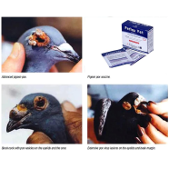 Anti pox Powder 10g For Any Bird icon