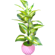Artificial Golden Dieffenbachia Plant icon