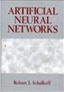 Artificial Neural Networks