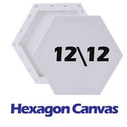 Artist Painting Canvas Hexagon Shape 12/12