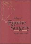 Atlas of Equine Surgery