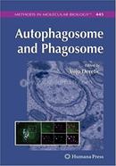 Autophagosome and Phagosome