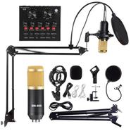 Powerpak BM 800 Studio Microphone Kits With Filter V8 Sound Card Condenser Microphone Bundle Record Ktv Karaoke Smartphone Microphone