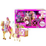 Barbie Groom n Care Doll Playset - GXV77