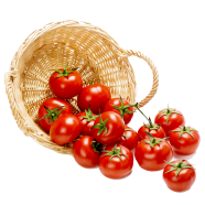 Bari 11 Tomato Hybrid Seeds 20pcs