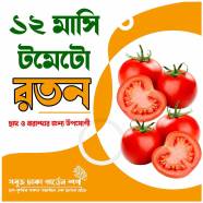 Baromasi Tomato Roton