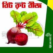 Beet Root Seeds Re-Pack F1 Hybrid (Indian) 0.1gm