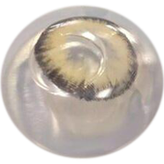 Bella Allure Blonde Color Contact Lens - B73