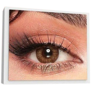 Bella Almond Brown Contact Lens With Kit Box