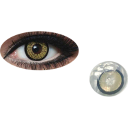 Bella Gold Highlight Color Contact Lens - B34