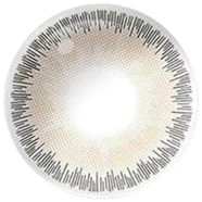 Bella Sandy Gray Color Contact Lens - B5
