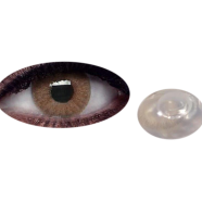 Bella Wild Honey Elite Contact Lens - B17