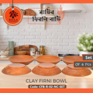 Bhola Mritshilpa Clay Firni Bowl icon