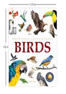Birds - Animals