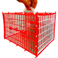 Birds Carrying Cage Only for Small Birds 1pc (Folding) Mix Color 8x6inch