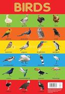 Birds Chart Early Learning Educational Chart For Kids